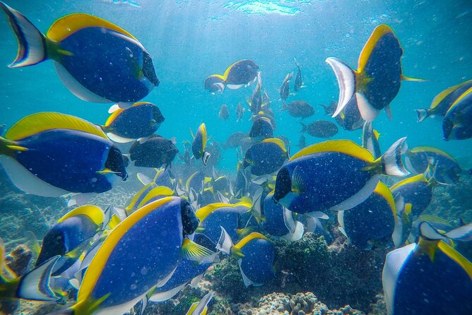 Discover Maafushi in 4 Nights 5 Days (Tour B) - Additional Information