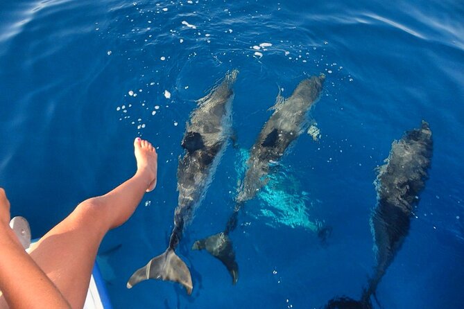 Discover Maafushi in 4 Nights 5 Days (Tour B) - Frequently Asked Questions