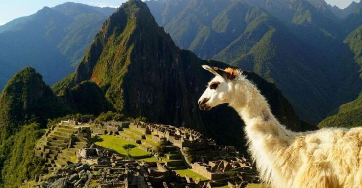 Discover Machu Picchu: Guided Group Tour Historic Site - Good To Know