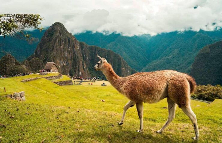 Discover Machu Picchu: Guided Group Tour Historic Site - Booking Details