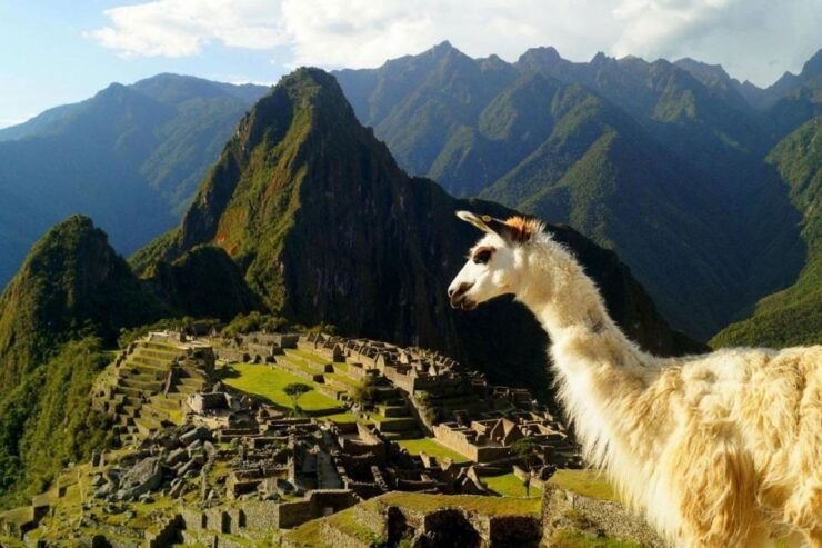 Discover Machu Picchu: Guided Group Tour Historic Site - Experience Highlights
