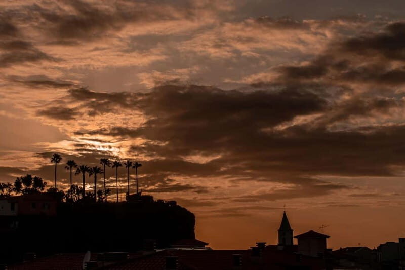 Discover Madeira in your own way: Private full-day tour - The Value of a Private, Eco-Friendly Tour  