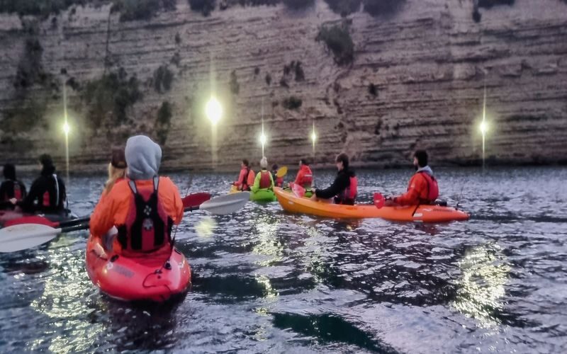 Discover Magic on Aucklands Original Bioluminescence Kayak Tour - What the Auckland outing is set up to offer