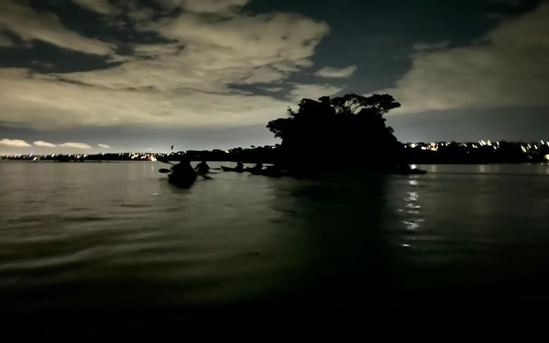 Discover Magic on Aucklands Original Bioluminescence Kayak Tour - What you can and cannot plan in advance