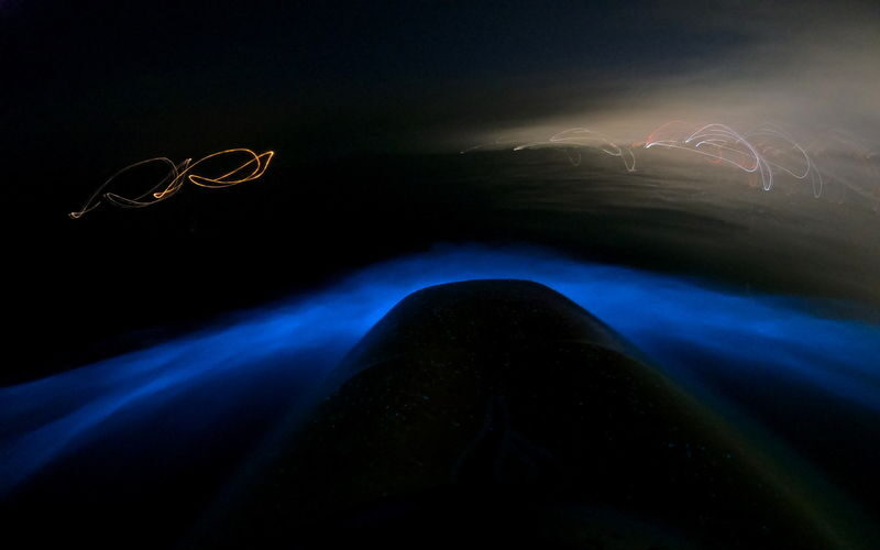 Discover Magic on Aucklands Original Bioluminescence Kayak Tour - The price and the value question
