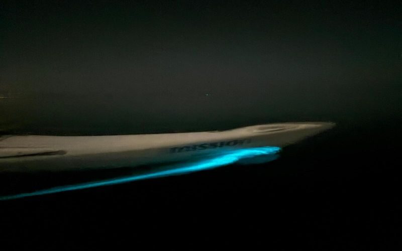 Discover Magic on Aucklands Original Bioluminescence Kayak Tour - A real concern about last-minute cancellation