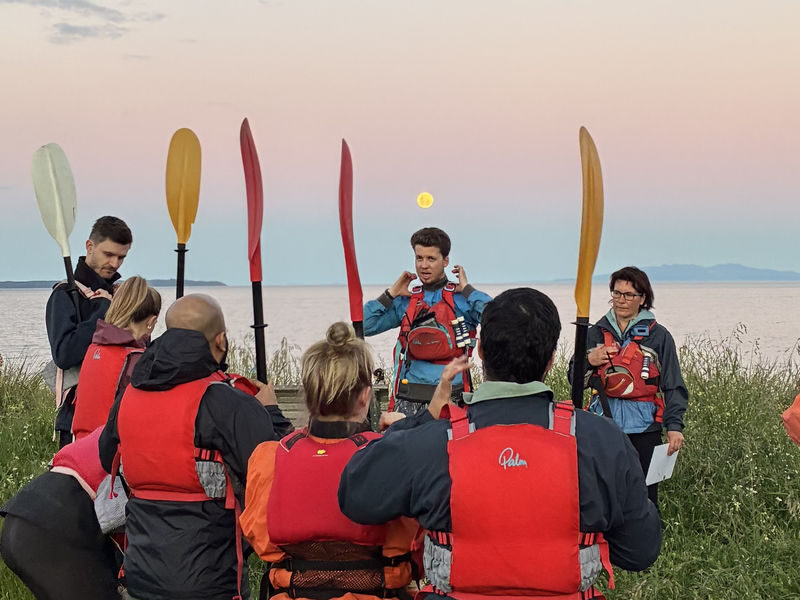 Discover Magic on Aucklands Original Bioluminescence Kayak Tour - Who should consider this tour