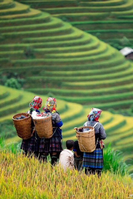 DISCOVER MAI CHAU - BIKING 1 DAY TOUR - Pricing and Booking