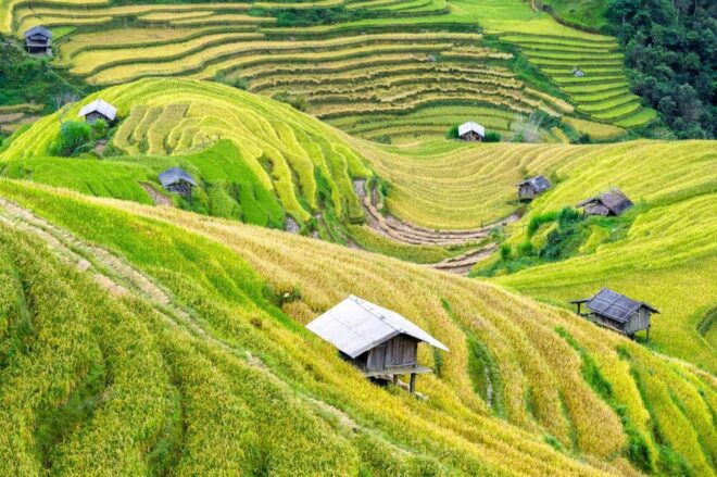 DISCOVER MAI CHAU - BIKING 1 DAY TOUR - Experience the Local Culture