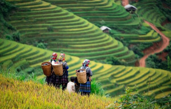 DISCOVER MAI CHAU - BIKING 1 DAY TOUR - Important Travel Notes