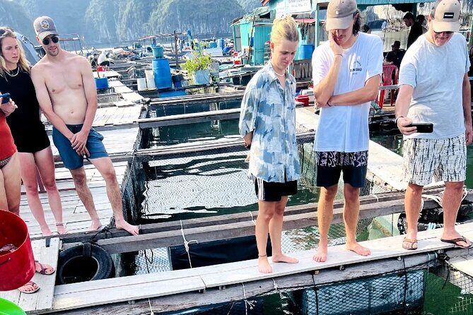 Discover Majestic Lan Ha Bay cruise 3 Days 2 Nights - Good To Know