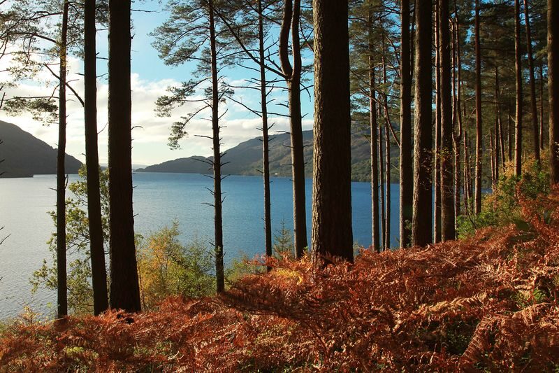 Discover Malt Whisky Tour from Edinburgh - Two distilleries, two sides of Scotch