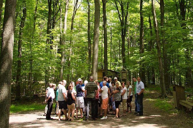 Discover Maple Sugar Bush Tour - Good To Know
