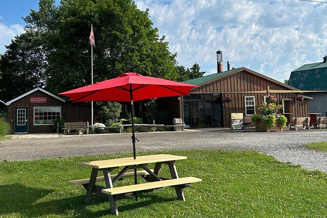Discover Maple Sugar Bush Tour - An In-Depth Look at the Discover Maple Sugar Bush Tour