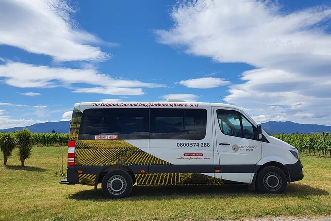 Discover Marlborough Wine - Half Day Tour From Picton or Blenheim - Tour Overview