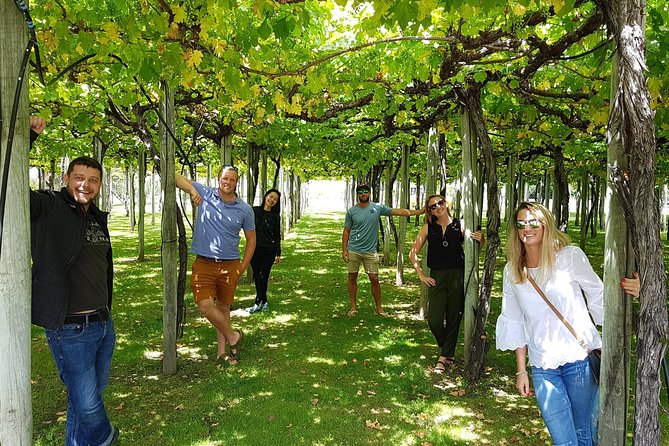 Discover Marlborough Wine - Half Day Tour From Picton or Blenheim - Positive Feedback on the Tour Experience