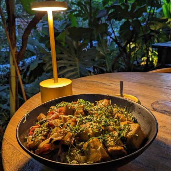 Discover Medellín's Best Vegan Restaurants Much More - Medellíns Vegan Gastronomy Unveiled