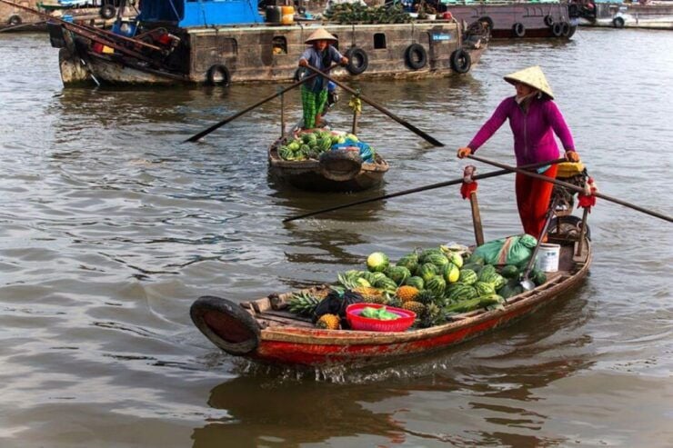 Discover Mekong Delta 1 Day Tour With Local Guide - Good To Know