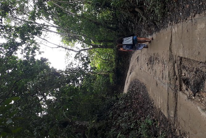 Discover Minca - Scenic Beauty of Minca