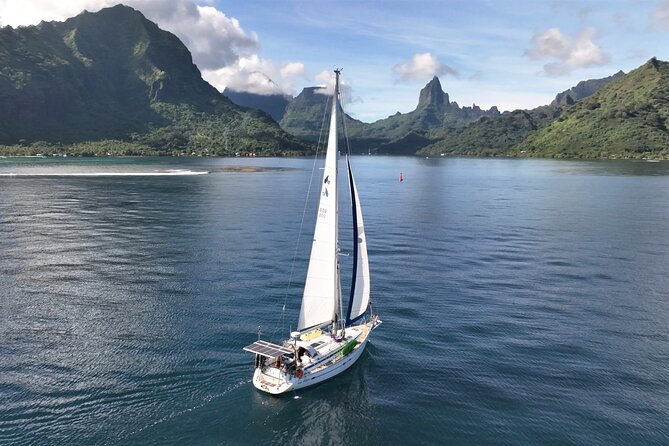 Discover Mori Ora Sailboat Navigation. 1/2 Day Morning/Sunset - Additional Information and Policies