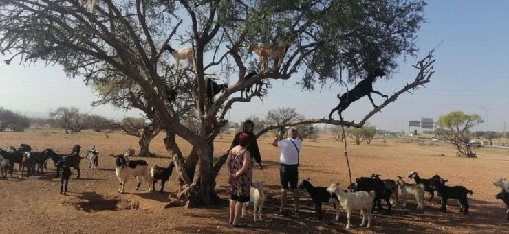 Discover Morocco With Us ! ." - Tour Details and Highlights