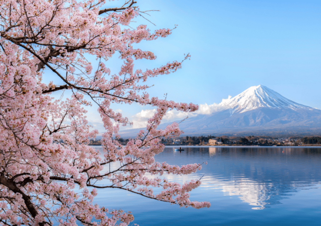 Discover Mount Fuji: Private Car/Van Day Tour From Tokyo - Experience and Attractions