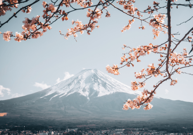 Discover Mount Fuji: Private Car/Van Day Tour From Tokyo - Inclusions and Transportation