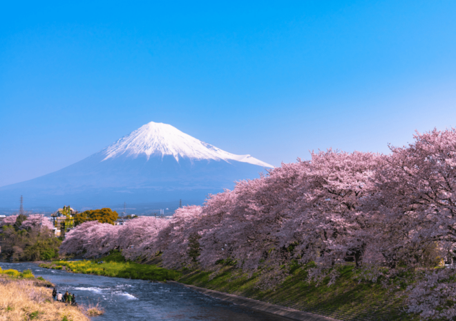 Discover Mount Fuji: Private Car/Van Day Tour From Tokyo - Customer Feedback and Ratings