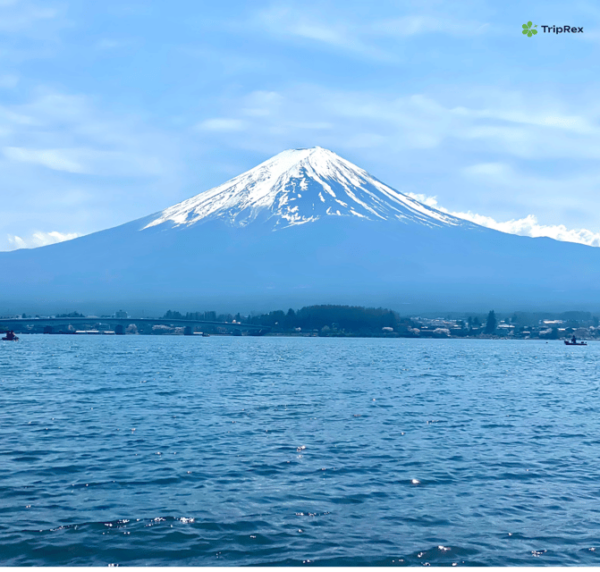 Discover Mount Fuji: Private Car/Van Day Tour From Tokyo - Tips for Your Tour