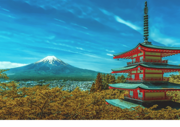 Discover Mount Fuji: Private Car/Van Day Tour From Tokyo - Additional Activities and Nearby Attractions