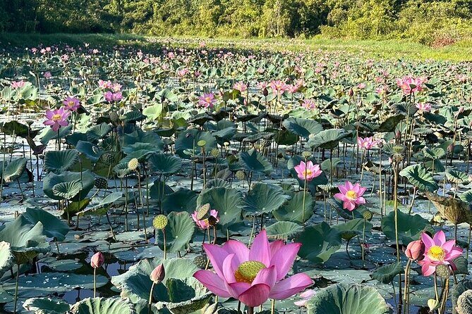 Discover My Son Holyland & Rice Paper Making: A Cultural Journey - Final Thoughts