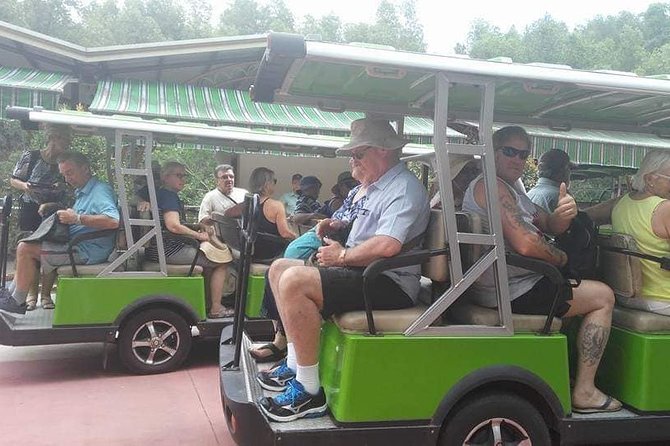 Discover My Son Sanctuary & Marble Mountain From Hoi an or Da Nang City - Historical Significance