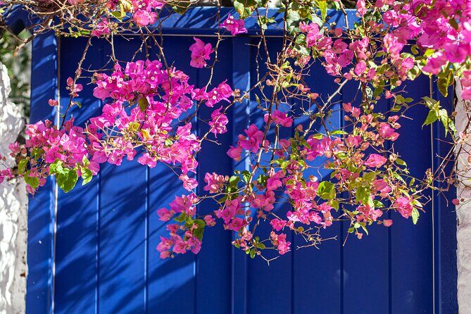 Discover Mykonos in 4 Hours Beaches Villages and Town - Good To Know