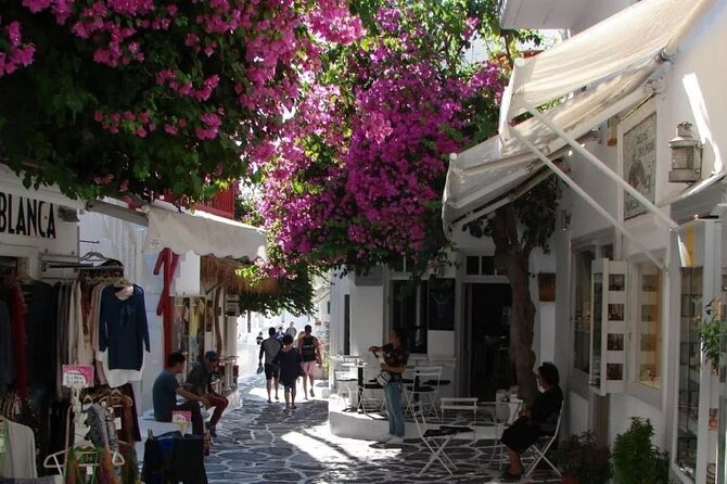 Discover Mykonos Island In 4 - Hours Private Shore Excursion - Historical Sites and Landmarks