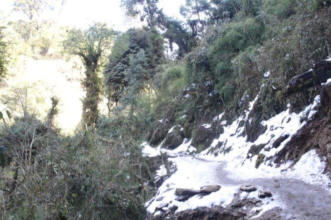 Discover Nepal: 12 Day Trekking and Wildlife Expedition - Preparation Tips