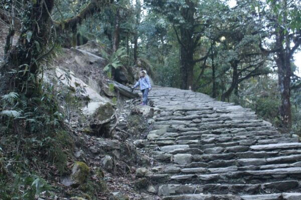 Discover Nepal: 12 Day Trekking and Wildlife Expedition - Break Down