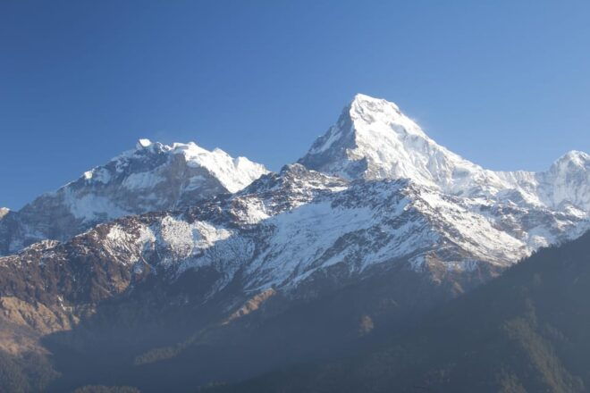 Discover Nepal: 12 Day Trekking and Wildlife Expedition - Included Services and Amenities
