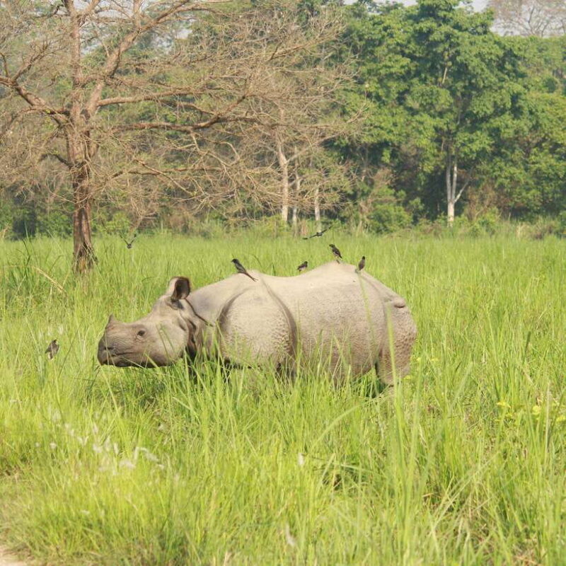 Discover Nepals Treasures: A 9-Day Private Tour - FAQ