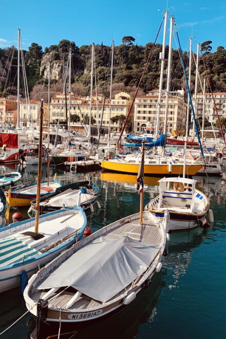 Discover Nice: Where History Meets Fun - Guided Tour Features