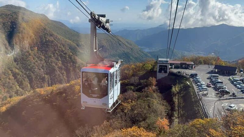 Discover Nikko Full-Day Private Tour from Tokyo - The Sum Up: Is This Tour Right for You?