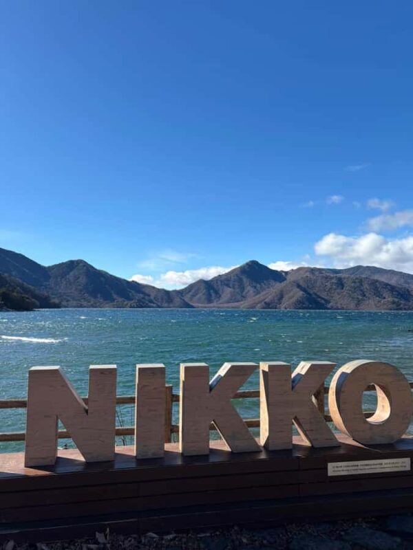 Discover Nikko Full-Day Private Tour from Tokyo - Who Is This Tour Best For?