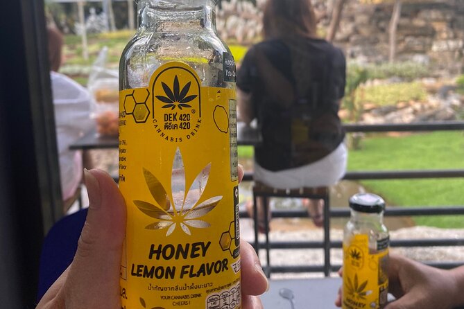 Discover off the Beaten Path City Tours With University Students - The Sum Up