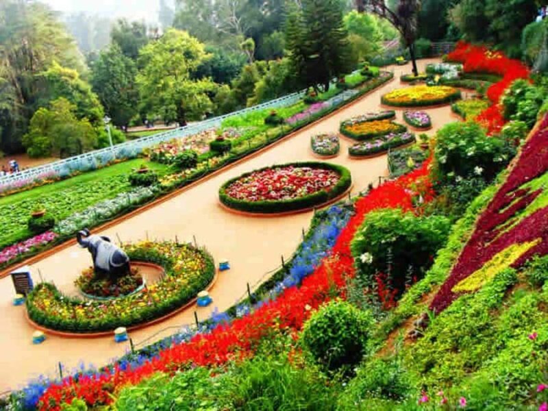Discover Ooty in a Day  Gardens, Lake & Local Market - Market Stroll and Local Shopping