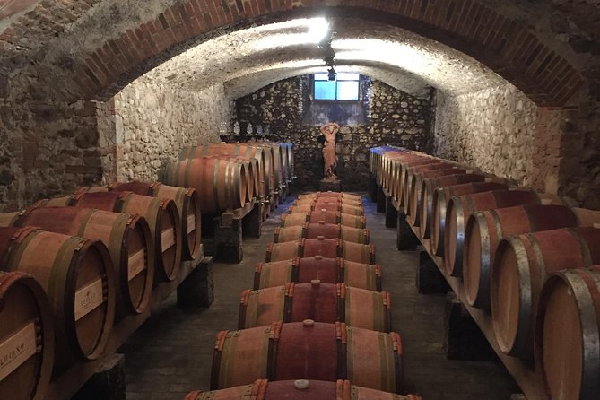 Discover Organic and Biodynamic Chianti Small Wineries - Sustainable Practices in Winemaking