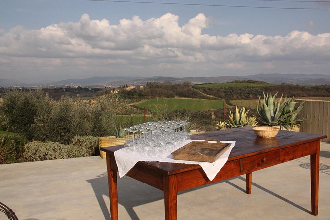 Discover Organic and Biodynamic Chianti Small Wineries - Tour Logistics and Itinerary