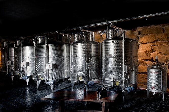 Discover Organic Wines in a Guided Tour and Tasting - Tour Overview