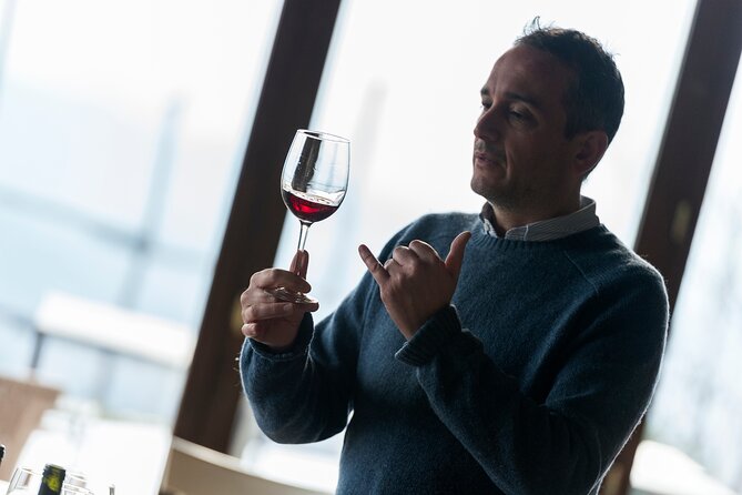 Discover Organic Wines in a Guided Tour and Tasting - End Point and Cancellation Policy