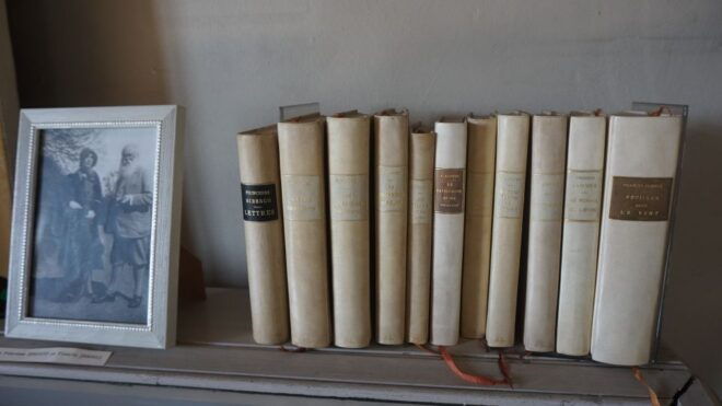 Discover Orthez & Francis Jammes Through an Outdoor Show - Outdoor Show