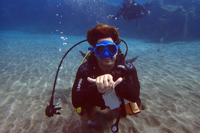 Discover PADI Scuba Diving in the Tortugas Area in Playa De Abades. - Safety Precautions and Guidelines