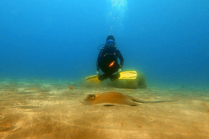 Discover PADI Scuba Diving in the Tortugas Area in Playa De Abades. - Common Questions